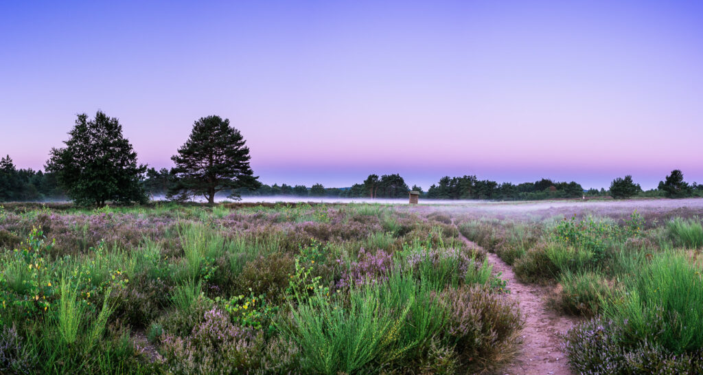 Martn Koch Fotografie
