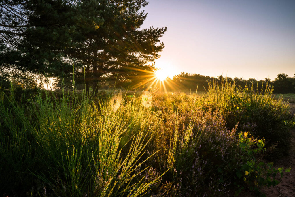 Martn Koch Fotografie
