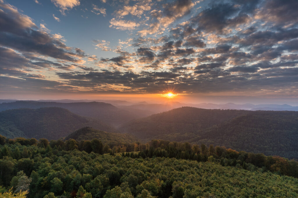 Martin Koch Fotografie