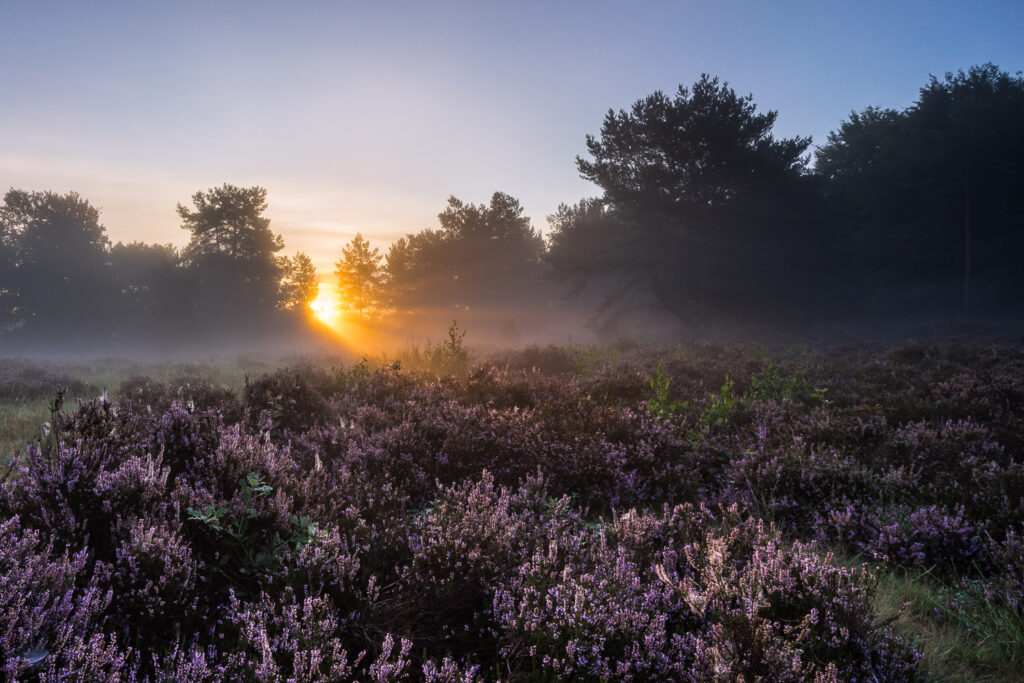 Martin Koch Fotografie