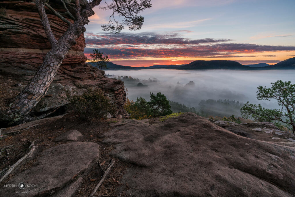 Martin Koch Fotografie Morgenrot und Nebel am Sprinzelfelsen