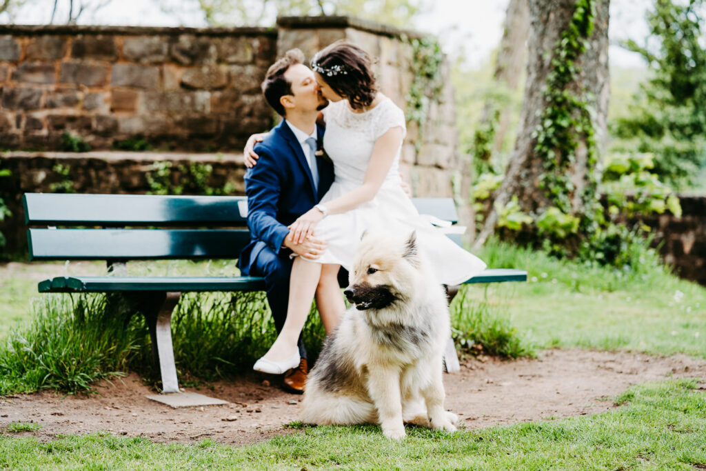 Hochzeitsfotograf Kaiserslautern Brautpaarshooting Burg Nanstein